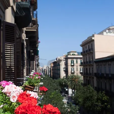 Arabis Centro Storico Palermo